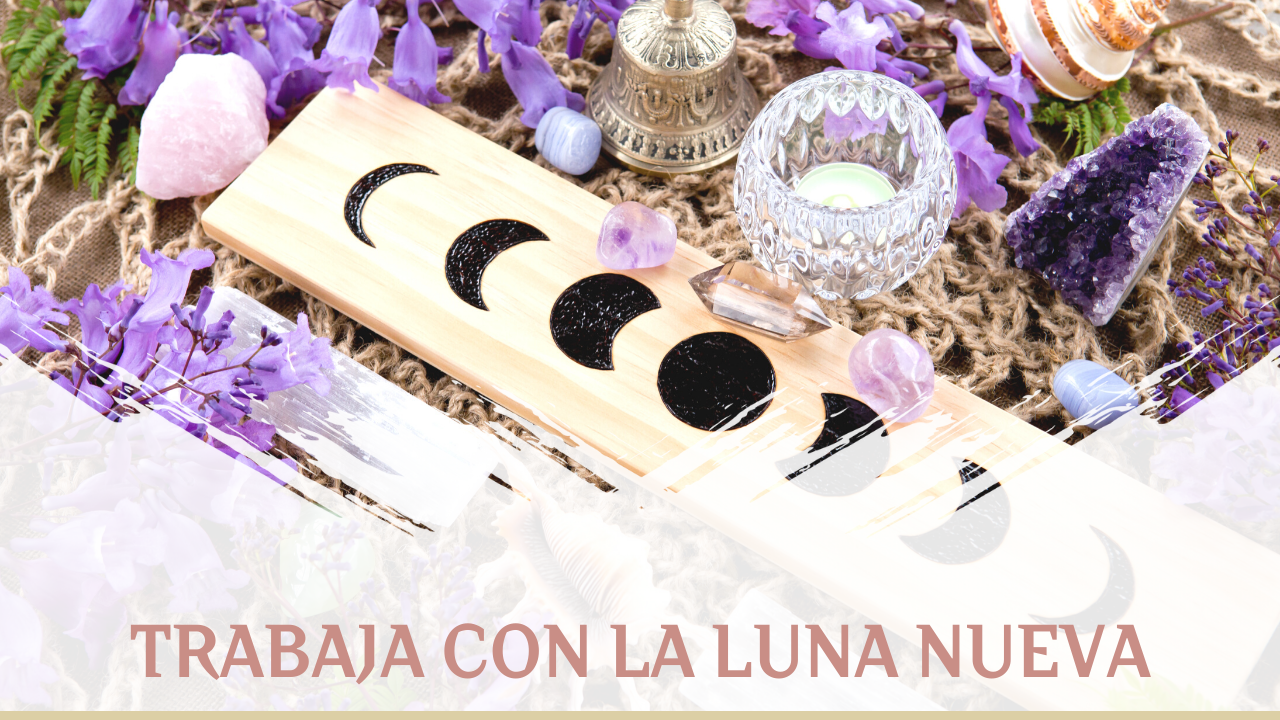 El sistema Clientes Premium Bajo Demanda